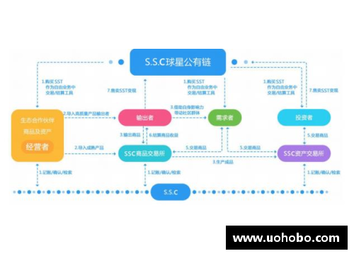 Bsports必一体育防守型球员手部保护技术发展与运动表现关系研究