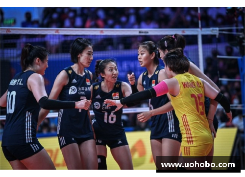 Bsports必一体育日本女排归化球员号码解析与分析